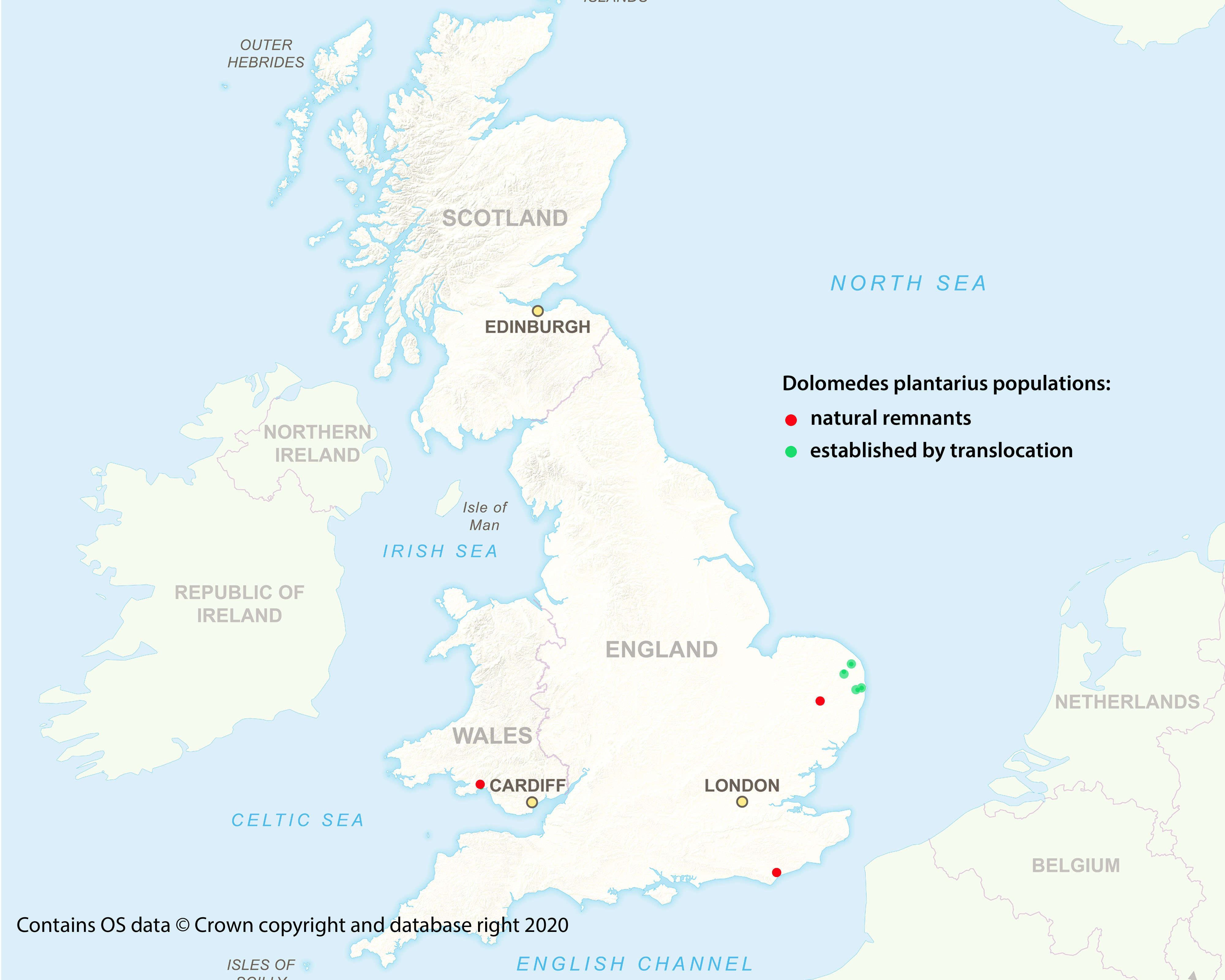 Locations of Dolomedes plantarius populations in Britain
