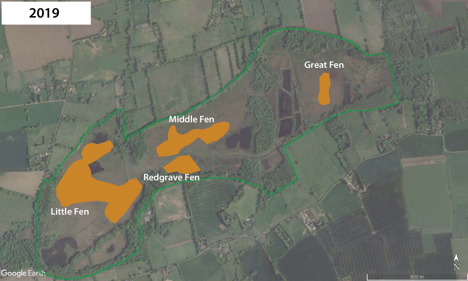 Distribution of D. plantarius at Redgrave and Lopham Fen by 2019