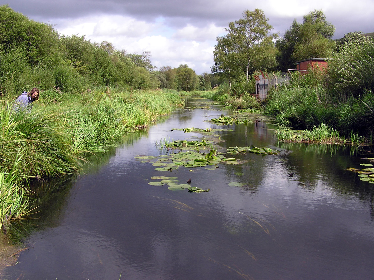 The Tennant Canal where D. plantarius was first identified from South Wales in 2003